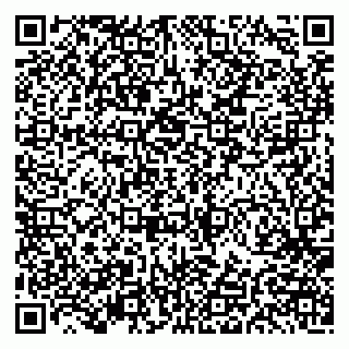 vCard 79191380291