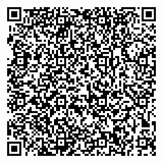 vCard 79191380294
