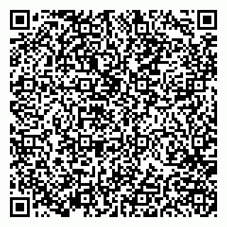 vCard 79191380295