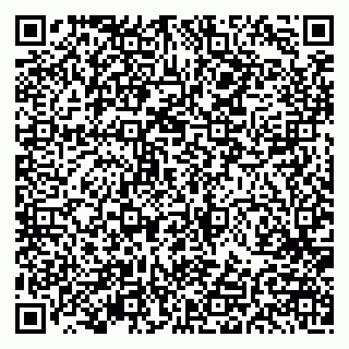 vCard 79191380301