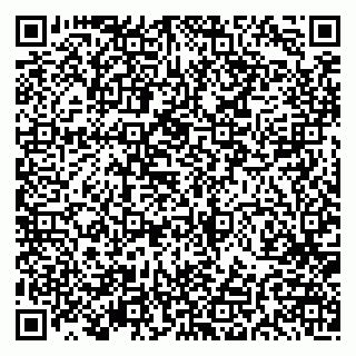vCard 79191380303