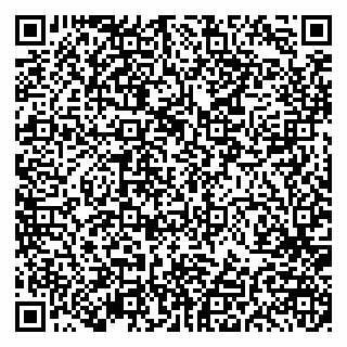vCard 79191380305
