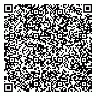 vCard 79191380307