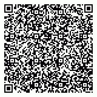 vCard 79191380309