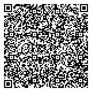 vCard 79191380311