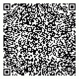vCard 79191380312