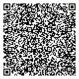 vCard 79191380313
