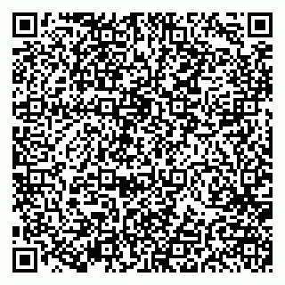 vCard 79191380315
