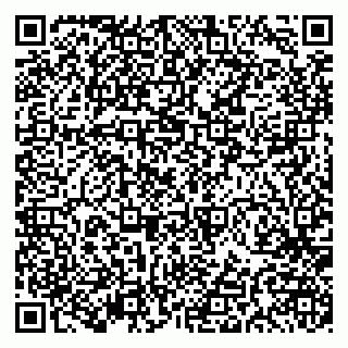 vCard 79191380317