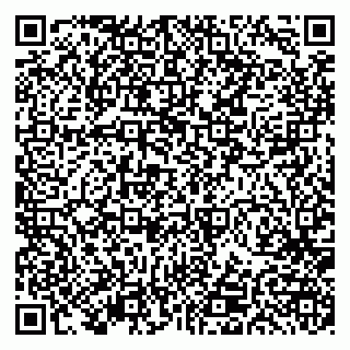 vCard 79191380318