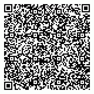 vCard 79191380319
