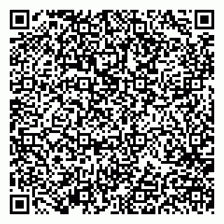 vCard 79191380321