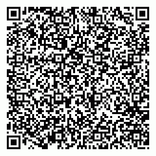 vCard 79191380323