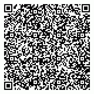 vCard 79191380324