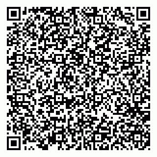 vCard 79191380329