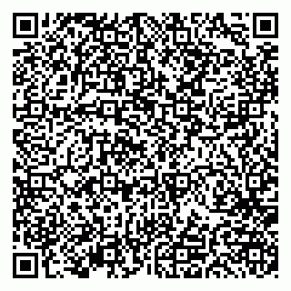 vCard 79191380330