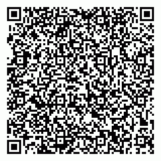 vCard 79191380331