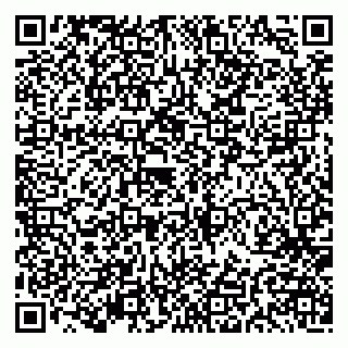 vCard 79191380333