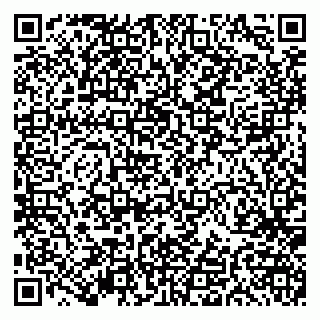 vCard 79191380334