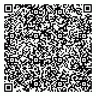 vCard 79191380335