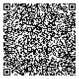vCard 79191380336