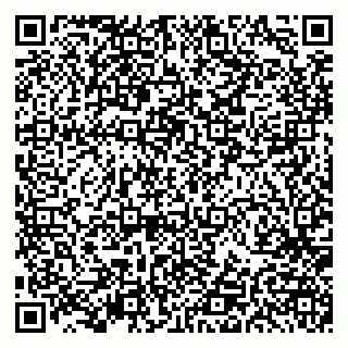 vCard 79191380339