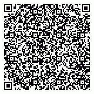 vCard 79191380345