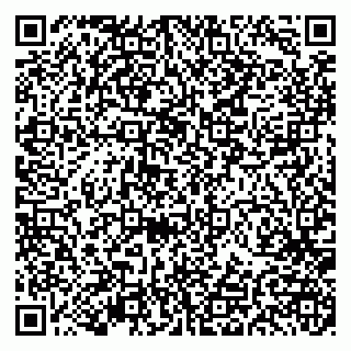 vCard 79191380351