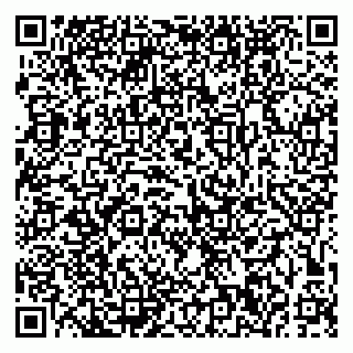 vCard 79191380352