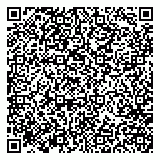 vCard 79191380353