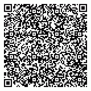 vCard 79191380355