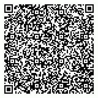 vCard 79191380358
