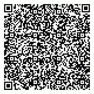 vCard 79191380363