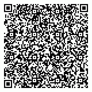 vCard 79191380366