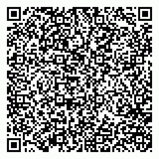 vCard 79191380371