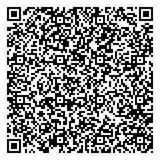 vCard 79191380377