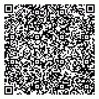 vCard 79191380378