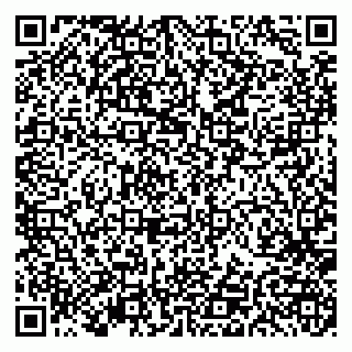 vCard 79191380379