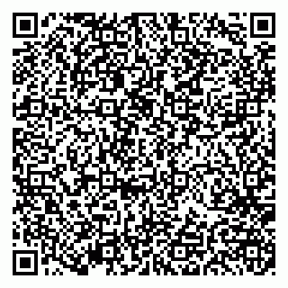 vCard 79191380381