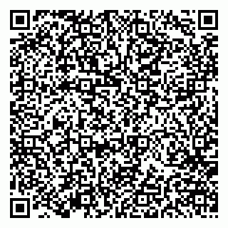vCard 79191380383