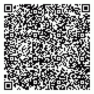 vCard 79191380384