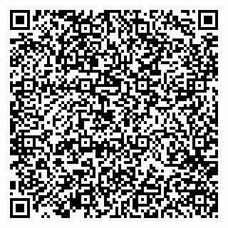 vCard 79191380385