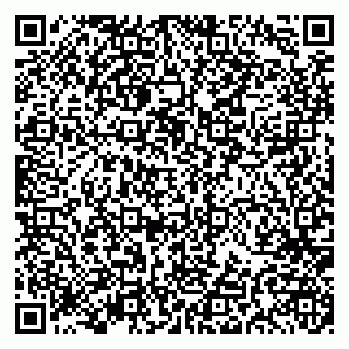 vCard 79191380387