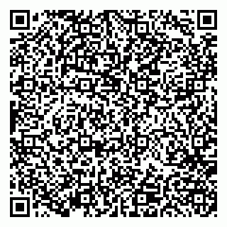 vCard 79191380388