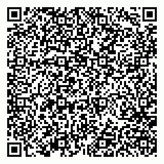 vCard 79191380389