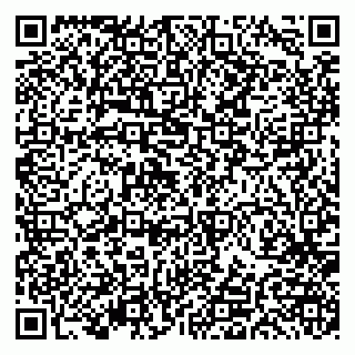 vCard 79191380390