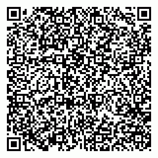 vCard 79191380391