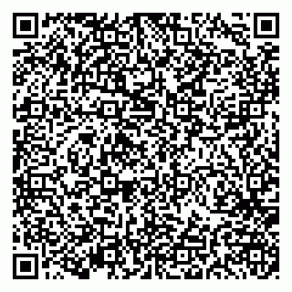 vCard 79191380393