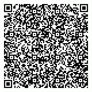 vCard 79191380394