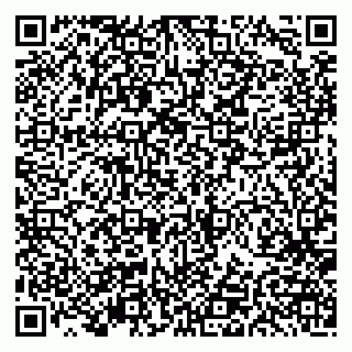 vCard 79191380399